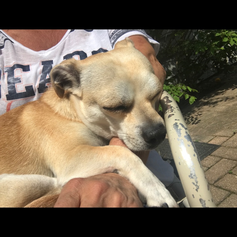 Meet your Posher, Rachel